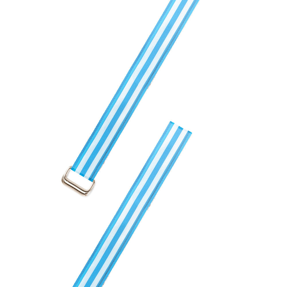Carolina Blue &amp; White Grosgrain Ribbon D-Ring Belt