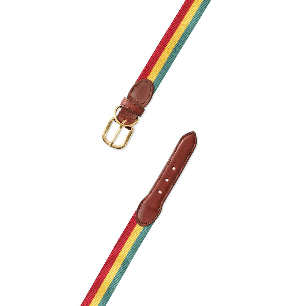 Red, Yellow &amp; Green Surcingle Dog Collar