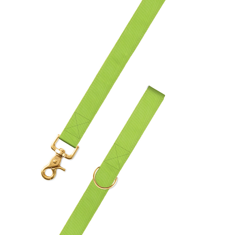 Grass Green Grosgrain Ribbon Dog Leash