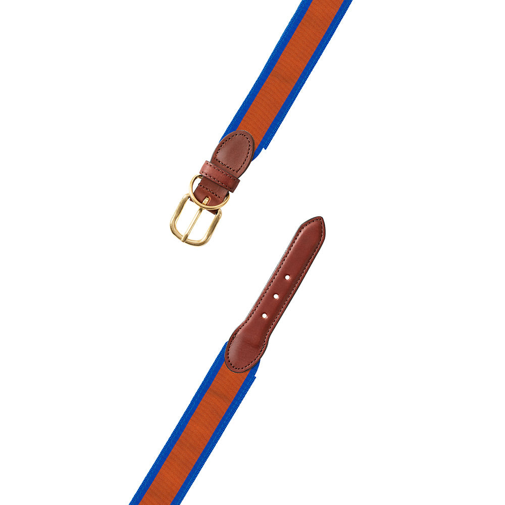 Orange on Blue Grosgrain Ribbon Dog Collar