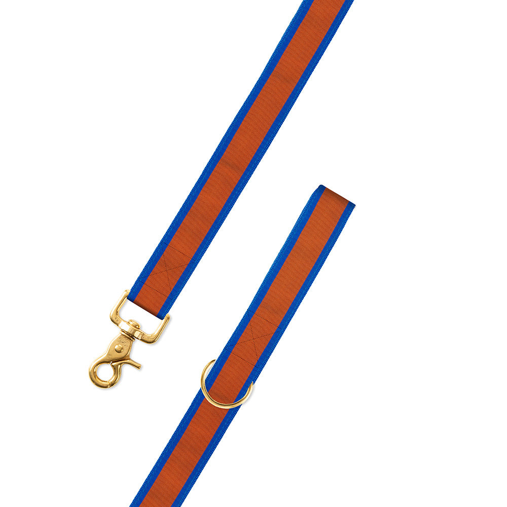 Orange on Blue Grosgrain Ribbon Dog Leash